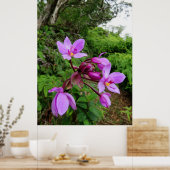 Wild Hawaiian Orchids Poster (Keuken)