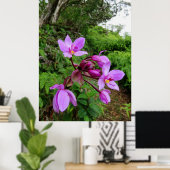 Wild Hawaiian Orchids Poster (Thuiskantoor)
