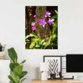 Wild Hawaiian Orchids Poster (Thuiskantoor)