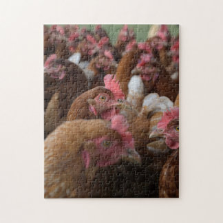 Wild Hen Chicken Family Group Sluiten het Boerderi Legpuzzel
