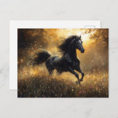 Wild Horse Black Stallion Mustang Briefkaart (Voorkant / Achterkant)