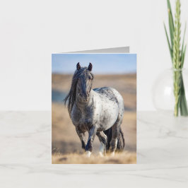 Wild Horse Blue Zeus komt dicht bij Wenskaart Kaart