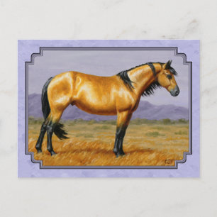 Wild Horse Buckskin Stallion Paars Briefkaart