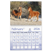 Wild Horse Calendar, Assateague Island Kalender (Feb 2026)