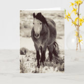 WILD HORSE DE L'UTAH Carte de voeux pliée (Fleur jaune)