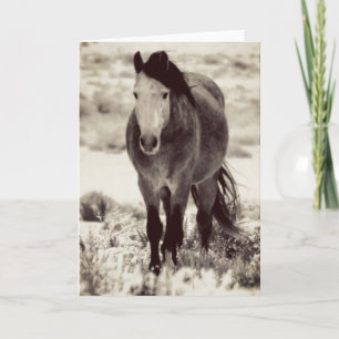 WILD HORSE DE L'UTAH Carte de voeux pliée
