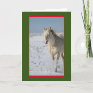 WILD HORSE DE L'UTAH SUR LA Carte NOËL NEIGE
