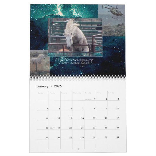 Wild Horse Education ... een kalender (Jan 2026)