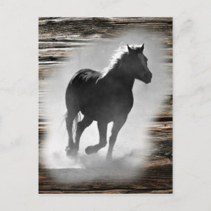 Wild Horse Galloping Briefkaart