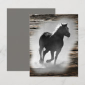 Wild Horse Galloping Notitiekaartje (Voorkant / Achterkant)