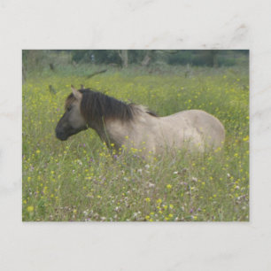 Wild Horse in Bloemenveld DIY Briefkaart