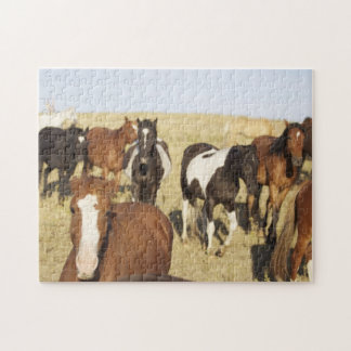 Wild Horse Jigzaag Puzzle Legpuzzel