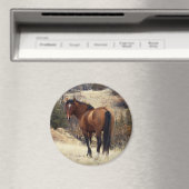 Wild Horse Magnet Magneet (Insitu (Vaatwasser))