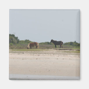 Wild Horse magnet Magneet