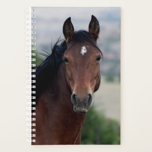 wild horse planner (Voorkant)