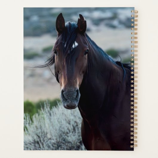 wild horse planner (Achterkant)