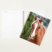 wild horse planner (Display)