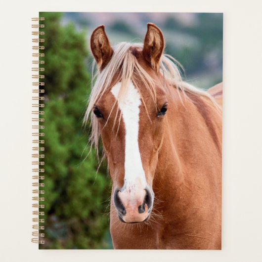 wild horse planner (Voorkant)