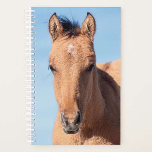 wild horse planner (Voorkant)