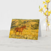 Wild Horse Sanctuary. Kaart (Gele Bloem)