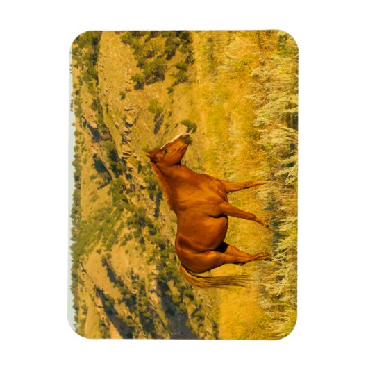 Wild Horse Sanctuary. Magneet (Verticaal)