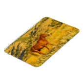 Wild Horse Sanctuary. Magneet (Linkerzijde)