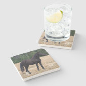 Wild Horse Stenen Onderzetter (Zijkant)