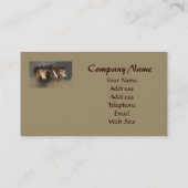 Wild Horse Trio Visitekaartje (Achterkant)