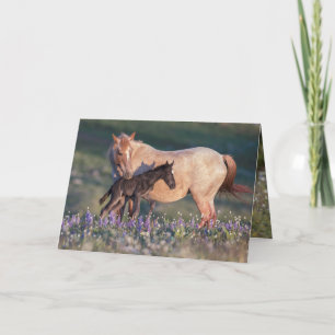 Wild Horse Wenskaart - Electra & Pandora Kaart
