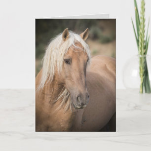 Wild Horse Wenskaart: het zomerportret van Corona Kaart