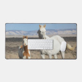 Wild Horses at Home in the Sandwash Basin (Clavier et souris)