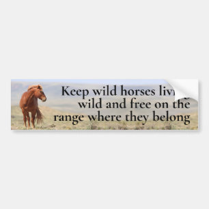Wild Horses Bumpersticker