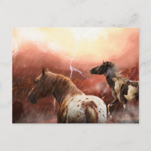 WILD HORSES DESERT STORM BRIEFKAART