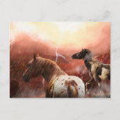 WILD HORSES DESERT STORM BRIEFKAART (Voorkant)