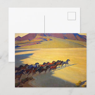 Wild Horses of Nevada door Maynard Dixon Briefkaart