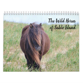Wild Horses of Sable Island Calendar Kalender