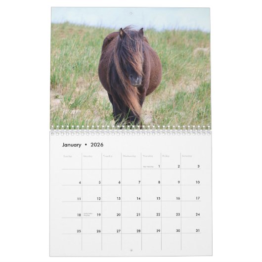 Wild Horses of Sable Island Calendar Kalender (Jan 2026)
