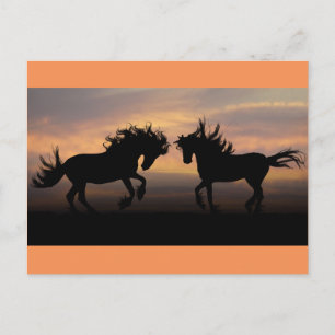 Wild Horses Silhouette Briefkaart