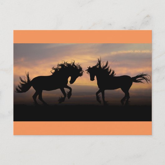 Wild Horses Silhouette Briefkaart (Voorkant)