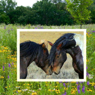 WIld Horses Touching Noses Briefkaart