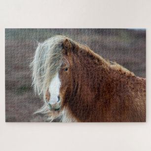 Wild IJslands Paard in een veld Legpuzzel