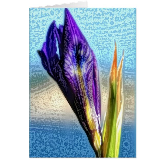 Wild Iris (Voorkant)