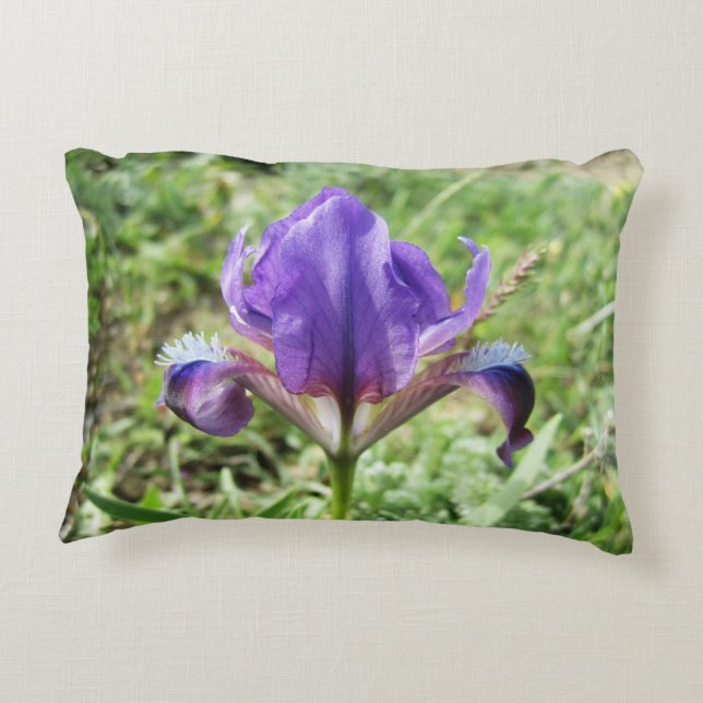 Wild Iris Accent Pillow Kussen (Achterkant)