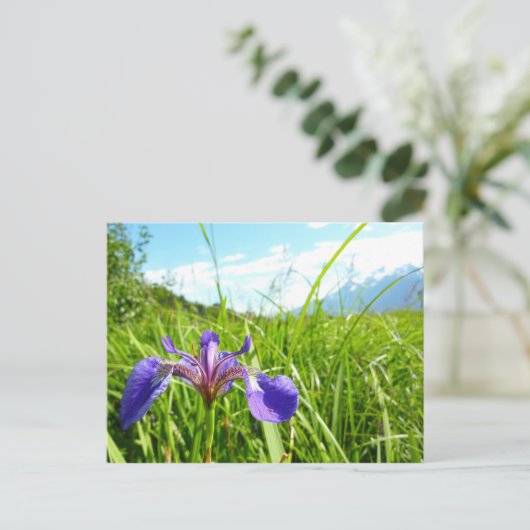 Wild Iris en het landschap van Alaskan Briefkaart (Staand voorkant)