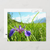 Wild Iris en het landschap van Alaskan Briefkaart (Voorkant / Achterkant)