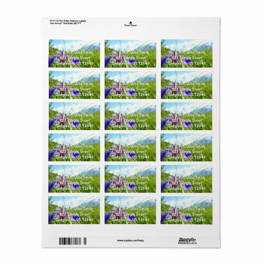 Wild Iris en het landschap van Alaskan Etiket (Full Sheet)
