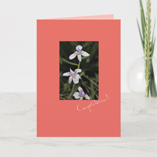 Wild Iris Félicitations Carte de voeux (Devant)