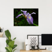 Wild Iris Flower Paars Floral Poster (Thuiskantoor)