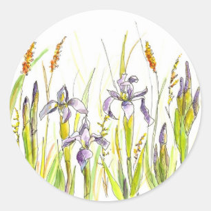 Wild Iris Paarse Wildflower Waterverf Schets Ronde Sticker