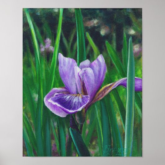 Wild Iris Poster (Voorkant)